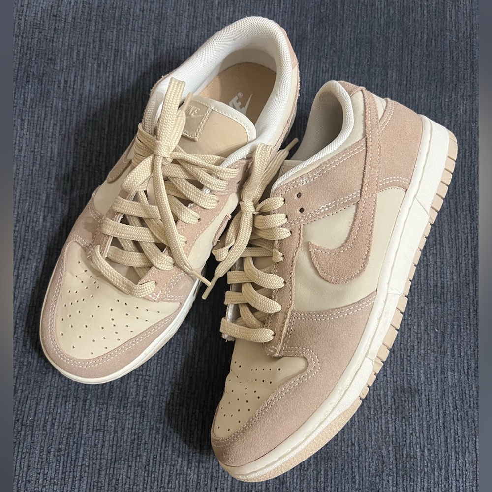 EUC Nike Dunks Size 9